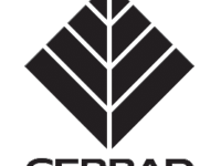 cerrad_logo--2--1
